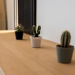 Posnania Chic With Garden By Bookinghost * بوزنان